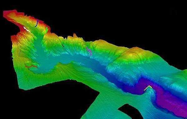 3-D view of Astoria Canyon, west of the Columbia River entrance showing locations of science transects (appear as colored ribbons on canyon walls) Picture