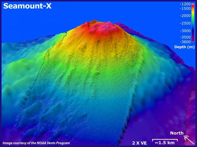 3-D view of Seamount-X. Picture