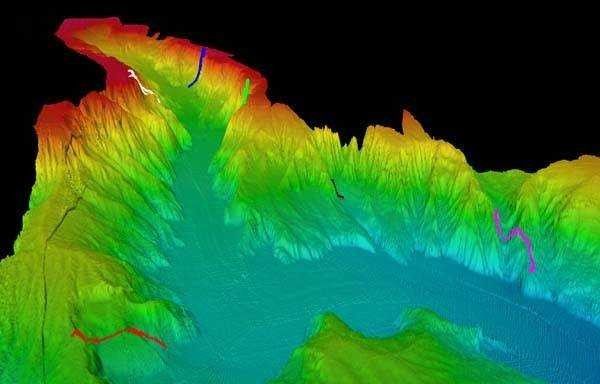 3-D view of the head of Astoria Canyon off the Columbia River Entrance. Picture
