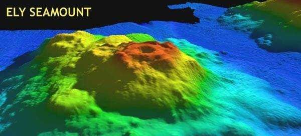 3-D view of Ely Seamount in the NE Pacific Ocean. Picture