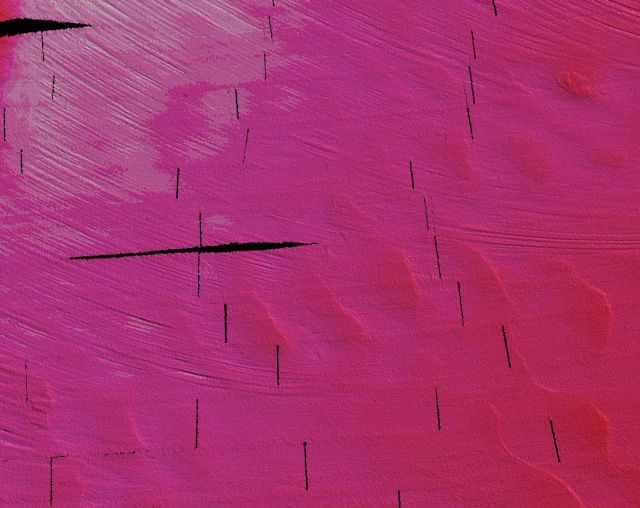 Scour marks and sand waves on the continental slope Picture