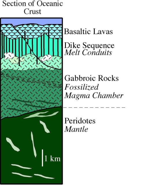 Generalized cartoon showing the various 