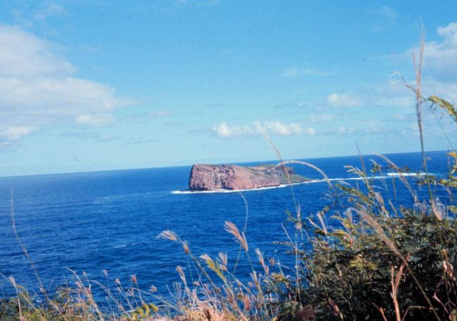 A view of Rabbit Island Picture