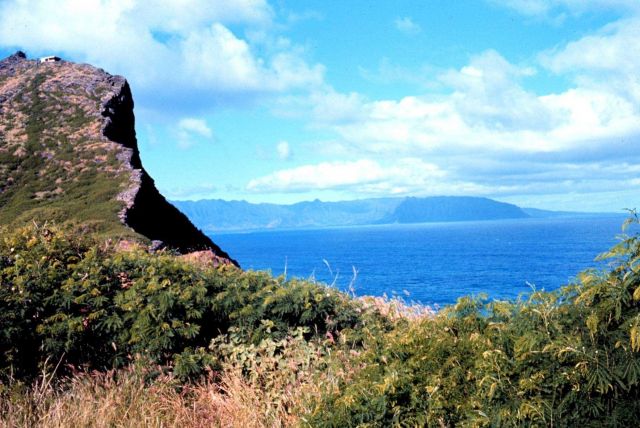 The view of Kaneohe Bay, Oahu, from Bird Island Picture