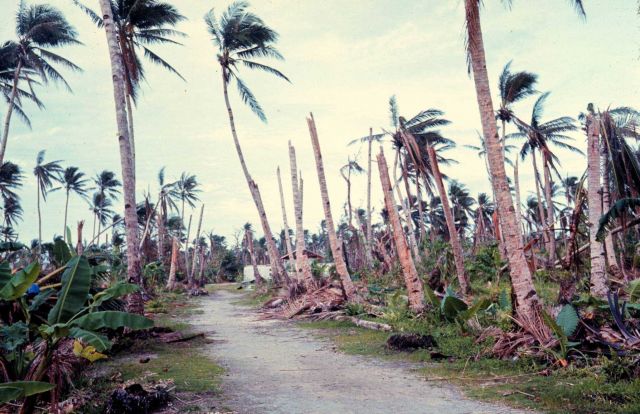 Typhoon damage from a Category 5 typhoon about a week after the storm Picture