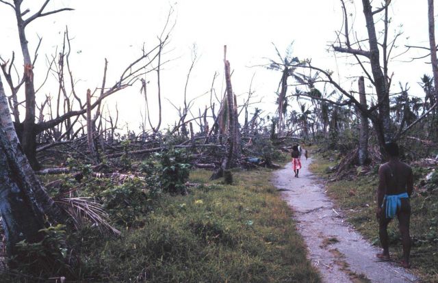 Typhoon damage from a Category 5 typhoon about a week after the storm Picture