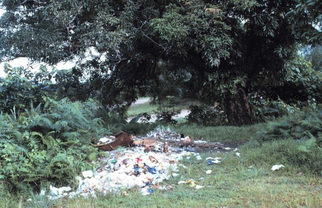Trash left to ferment. Picture