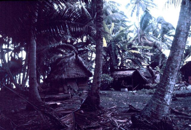 Native dwelling on left - boathouse for outrigger canoe on right. Picture