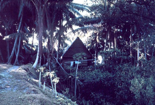 Native dwelling Picture