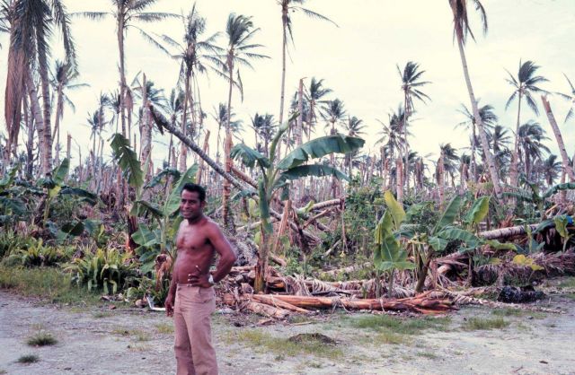 Native standing by destroyed banana and coconut groves after Typhoon Amy. Picture