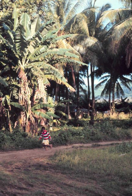 Native child on a rustic path. Picture