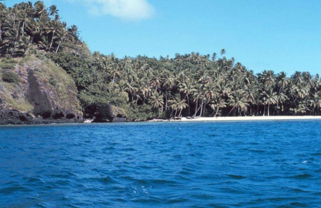 Coralline beach on volcanic island with fringing reef Picture