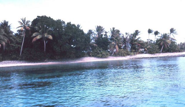 Lagoon side of coral atoll Picture
