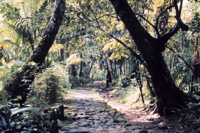 Stone lined path between villages Picture