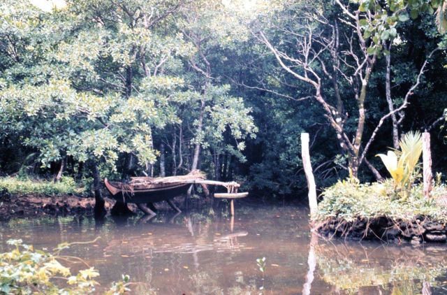 Outrigger canoe Picture
