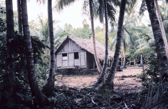Thatch roof and woven bamboo walls on native dwelling Picture