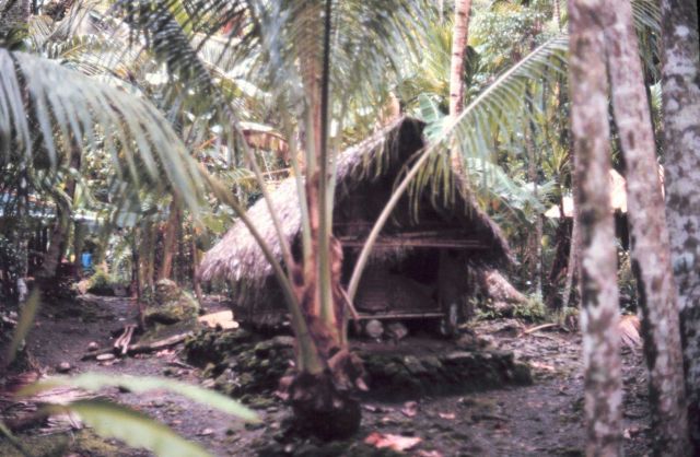 Small native storage building Picture