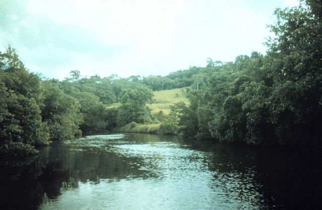 Lagoon scene Picture
