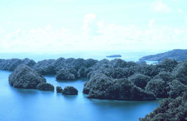 Limestone islets in karst topography of Palau. Picture