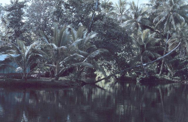 Lagoon scene Picture