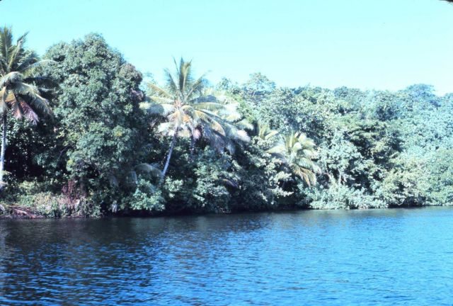 Lagoon scene Picture