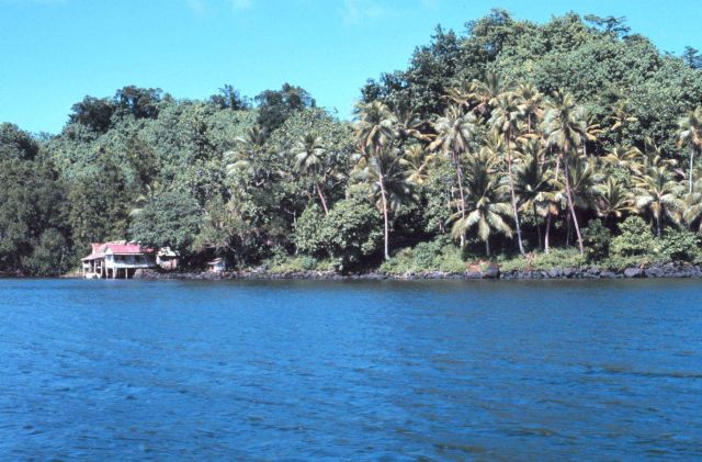 A coastal scene with palms and house on stilts overhanging the water Picture