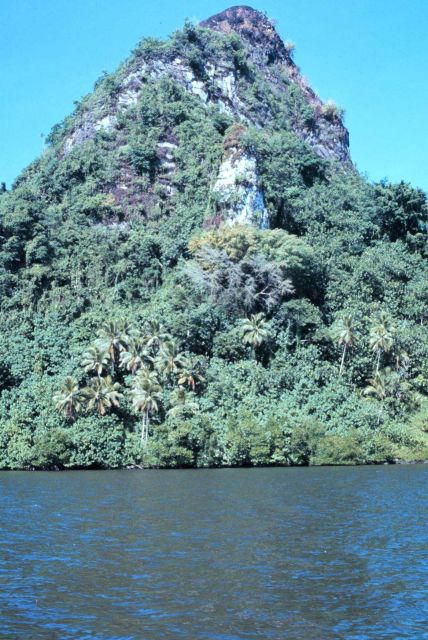 A conical hill with lush tropical vegetation adjacent to the sea Picture