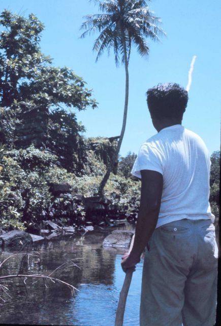 Approaching the prehistoric Micronesian city of Nan Madol Picture