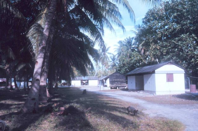 Copra workers homes Picture