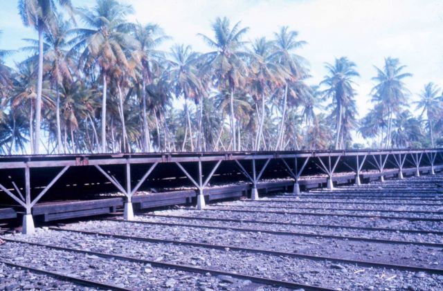 Copra drying sheds Picture