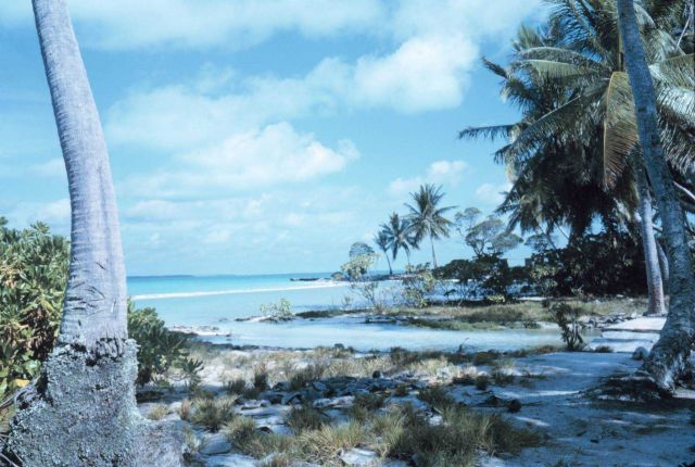 Lagoon shoreline. Picture