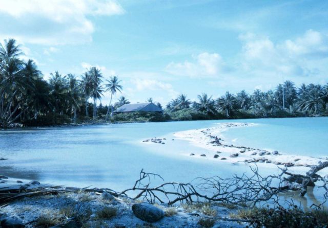 Natural sandbar covering coral rubble on lagoon side Picture