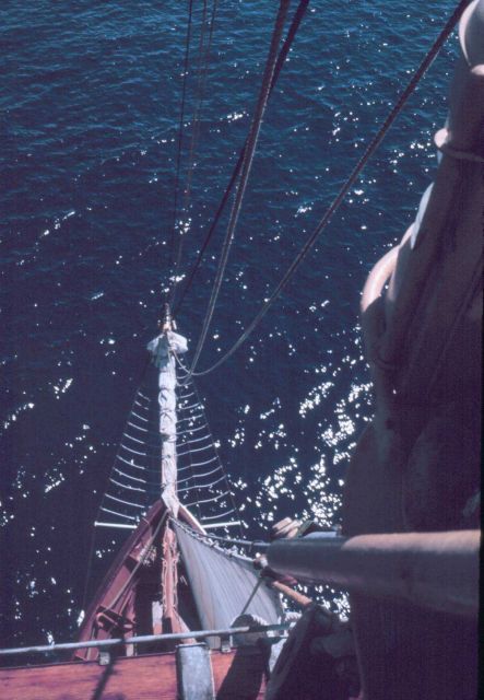 Looking down from the mast of the WESTWARD to the bowsprit Picture