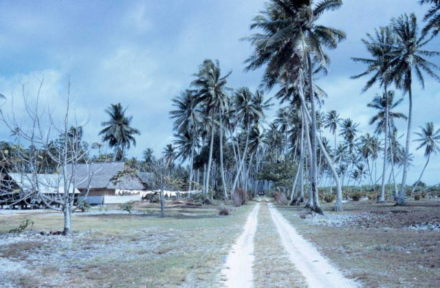 The road servicing the two cars on the island. Picture