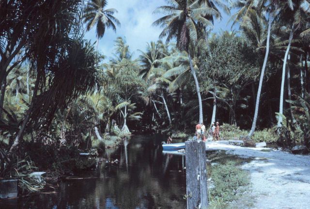 Man-made canal built for moving coconuts to the drying sheds. Picture