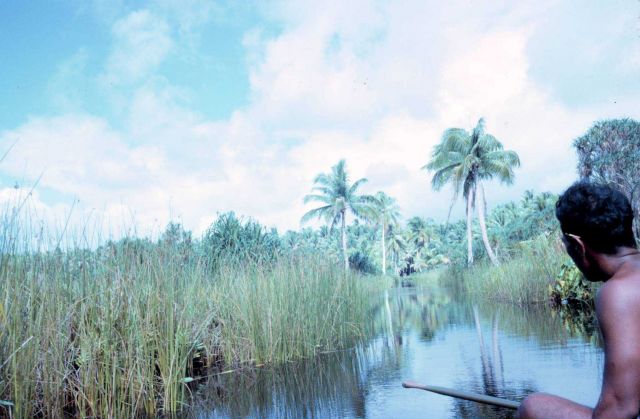 Traversing the man-made freshwater canal. Picture