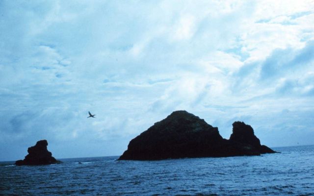 Gardner Pinnacles - numerous sharks made landing here very exciting Picture