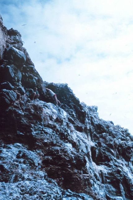 Climbing up the rock wall and catching breath after evading sharks. Picture