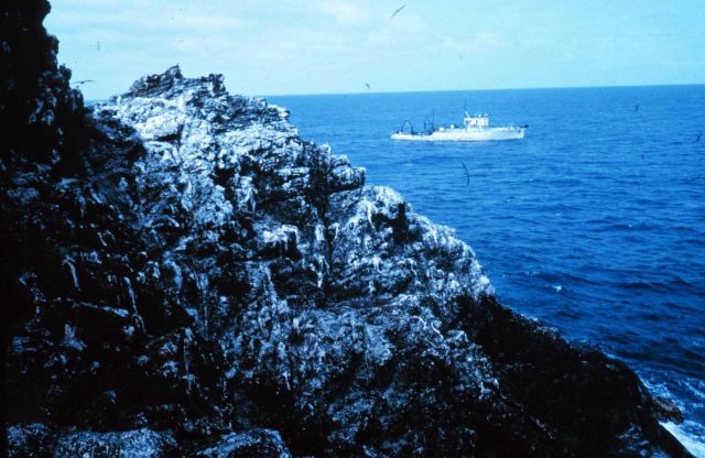 The University of Hawaii research vessel TERITU at Gardner Pinnacles Picture