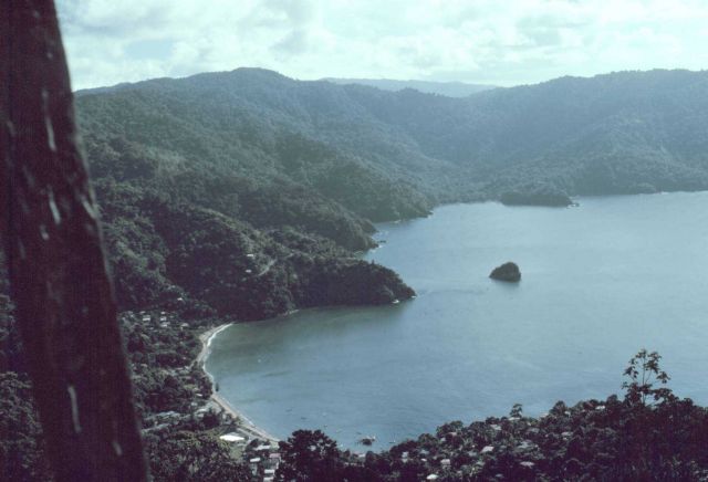 Man-of-War Bay at Charlottesville Picture