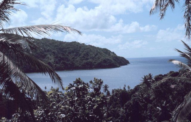 Man-of-War Bay at Charlottesville Picture