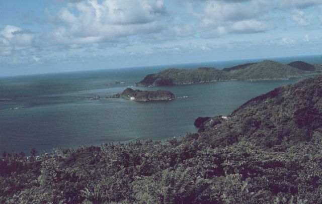 The view of Little Tobago Island from Speyside on the northeast coast Picture