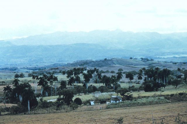 The rolling countryside of Las Villas Province. Picture