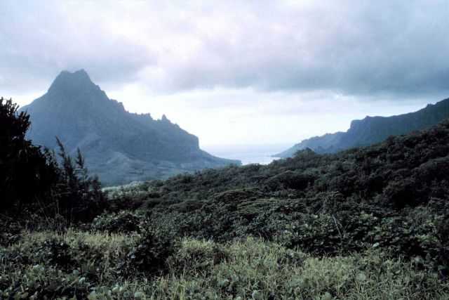 Looking past volcanic terrain to the sea Picture