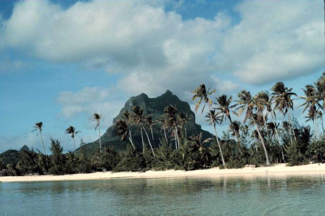 Palm trees and a volcanic plug witha a white sandy beach in the foreground. Picture