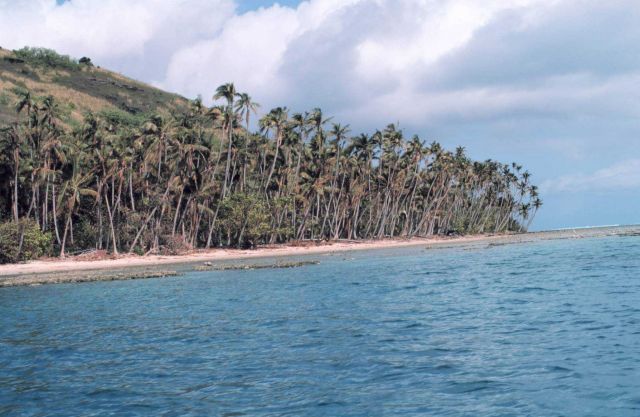 Reef line and palm trees in a secluded bay Picture