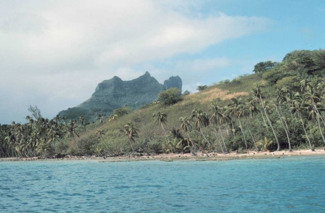 Reef line, palm trees, and volcanic peaks Picture
