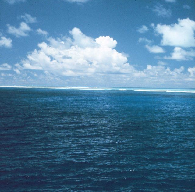 The reef at Laysan Island Picture