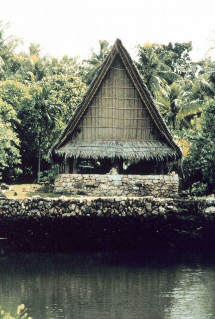 Traditional community meeting hut Picture