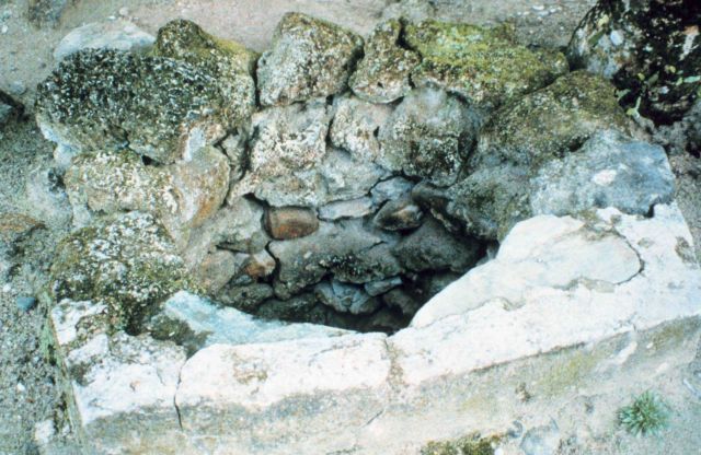 A fresh water well on Yap Picture